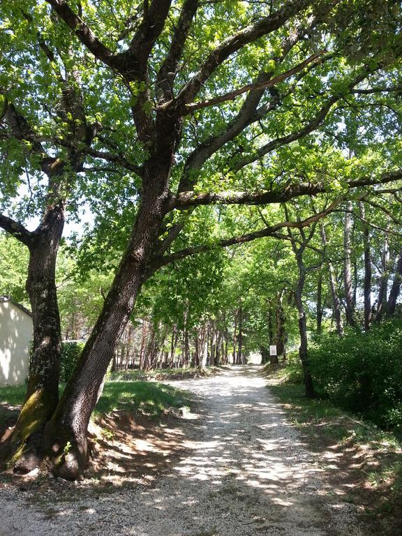 Camping Parc Saint Sauvayre Vagnas Esterno foto